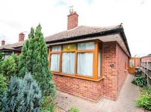 Semi-detached bungalow to rent in Western Road, Gorleston, Great Yarmouth NR31