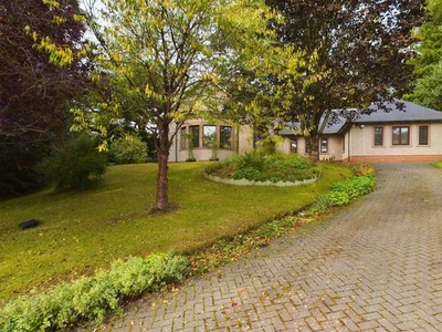 Bungalow for sale in Kyleachan, Golf Course Road, Blairgowrie, Perthshire PH10