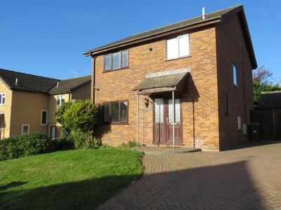 Detached house to rent in New River Green, Exning, Newmarket CB8