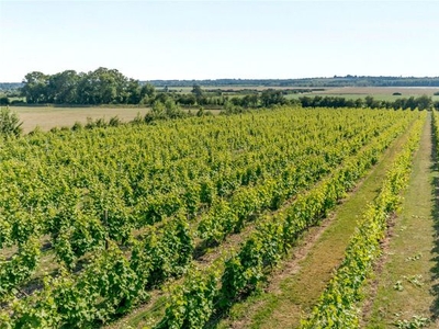 Land for sale in Somerby Vineyard & Winery, Somerby, Barnetby, Lincolnshire DN38