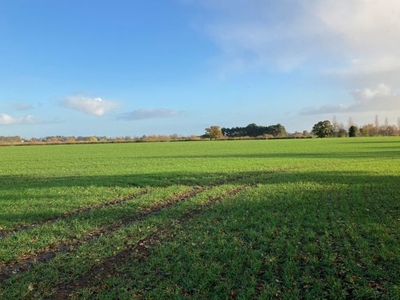 Land for sale in Tockwith, York, North Yorkshire YO26