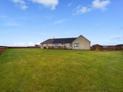 4 bedroom detached bungalow for sale Lyth Wick, KW1 4UD