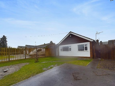 Detached bungalow to rent in Church Lane, Trottiscliffe, West Malling, Kent ME19