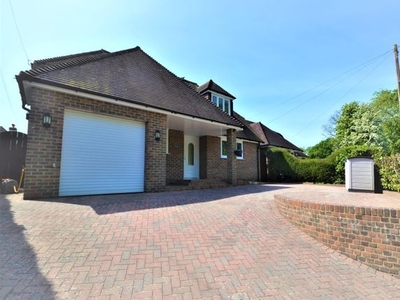 Detached bungalow to rent in Coombe Lane, Ninfield TN33