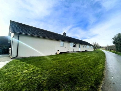 Detached bungalow to rent in Field Barn Farm, Winterborne Whitechurch, Blandford Forum DT11