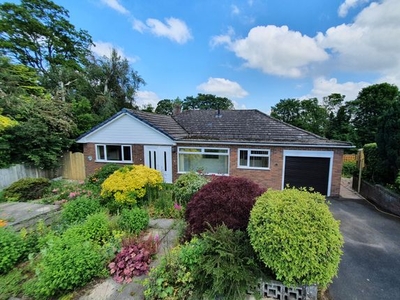 Detached bungalow to rent in Limekiln Lane, Lilleshall, Newport TF10