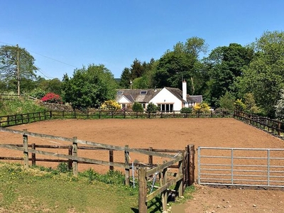 Equestrian property for sale in Irongray, Dumfries DG2