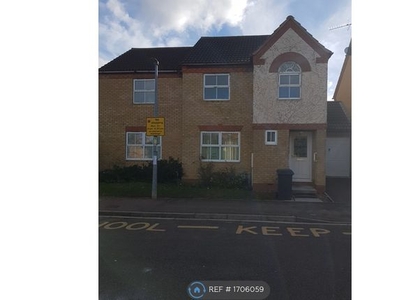 Detached house to rent in Hawk Drive, Sandy SG19