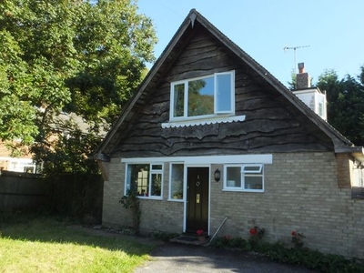 Detached house to rent in Orchard Road, Lewes BN7
