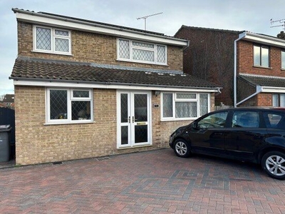 Property to rent in Petunia Crescent, Springfield, Chelmsford CM1