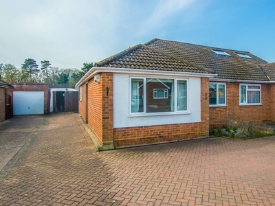 Semi-detached bungalow to rent in Peel Crescent, Hertford SG14