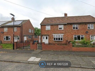 Semi-detached house to rent in Petersham Road, Sunderland SR4