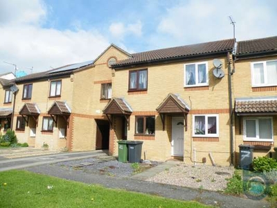 Terraced house to rent in Star Mews, Peterborough PE1