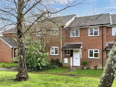 3 Bedroom Terraced House For Sale In Hook, Hampshire