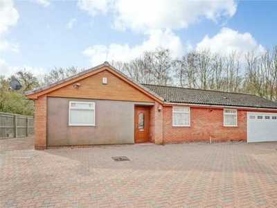 Detached bungalow to rent in Samdene, Ewe Hill Terrace West, Houghton Le Spring DH4
