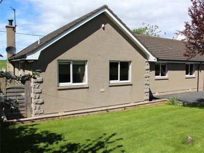 Detached bungalow to rent in The Birches, Foveran AB41