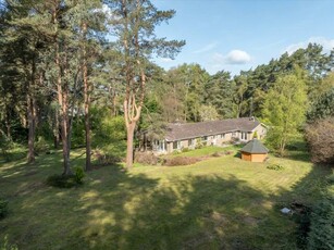 4 Bedroom Bungalow For Sale In Liphook, Hampshire