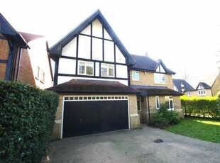 5 Bedroom Detached House For Rent In Watford