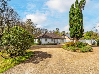 Bungalow for sale in Radnor Lane, Holmbury St. Mary, Dorking, Surrey RH5