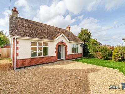 Detached bungalow for sale in Bedford Road, Bedford MK44