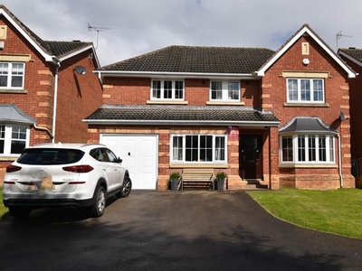 Detached house for sale in Toll House Mead, Mosborough, Sheffield S20