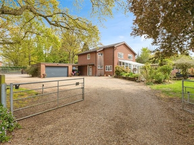 Detached house for sale in Woodcock Road, Wretham, Thetford, Norfolk IP24