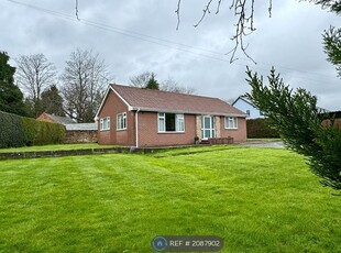 Bungalow to rent in Penylan Lane, Oswestry SY11