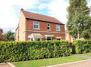 Detached house to rent in Chestnut Way, Selby YO8