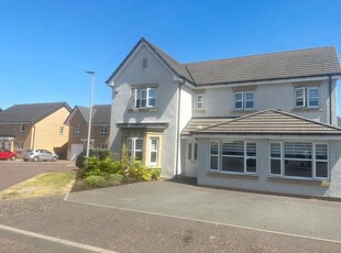 Detached house to rent in Daisy Drive, Cambuslang, Glasgow G72