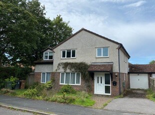 Detached house to rent in Newlyn Walk, Romsey SO51