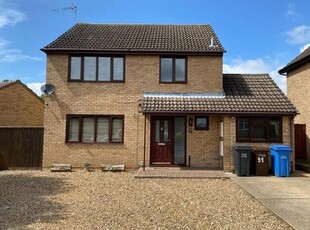 Detached house to rent in Noel Murless Drive, Newmarket CB8
