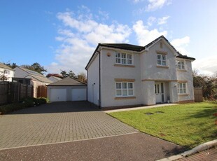 Detached house to rent in Red Squirrel Way, Dundee DD2