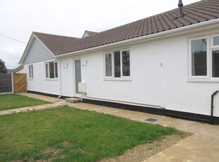 Semi-detached bungalow to rent in Princess Gardens, Rochford, Essex SS4