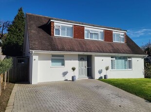 Detached bungalow to rent in Coombe Drove, Bramber, Steyning BN44