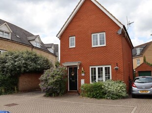 Detached house to rent in Northern Rose Close, Bury St. Edmunds IP32
