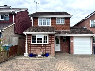 Link-detached house to rent in Forest Drive, Chineham, Basingstoke RG24
