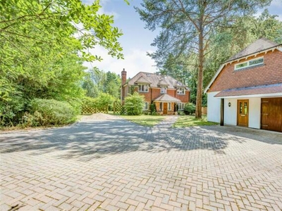9 Bedroom Detached House For Sale In Hampshire, Southampton