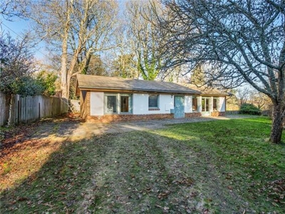 3 Bedroom Bungalow For Sale In Petworth, West Sussex