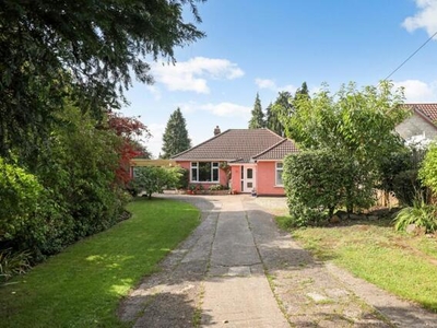 3 Bedroom Detached Bungalow For Sale In Backwell
