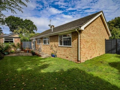 3 Bedroom Detached Bungalow For Sale In Liss, Hampshire