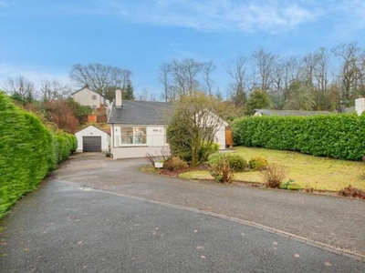4 Bedroom Detached House For Sale In 8 Annisgarth Drive, Windermere