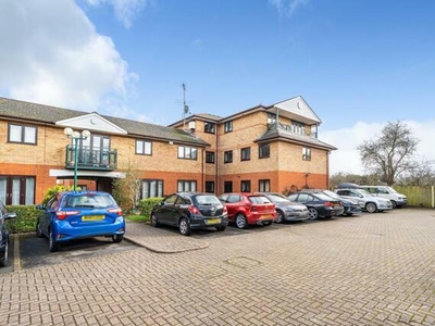 1 Bedroom Apartment For Rent In Berkshire