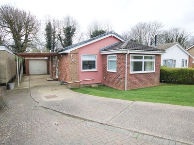 Bungalow to rent in Sefton Way, Newmarket CB8