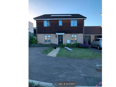 Detached house to rent in Redwing Place, Corby NN17
