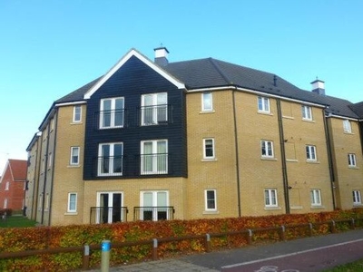 Flat to rent in Tayberry Close, Bury St. Edmunds IP28