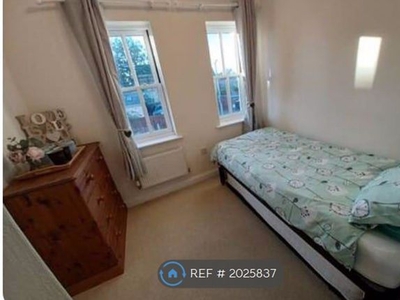 Room to rent in Sunderland Road, Sandy SG19