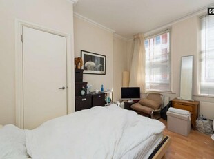 4 Bedroom Shared Living/roommate London London