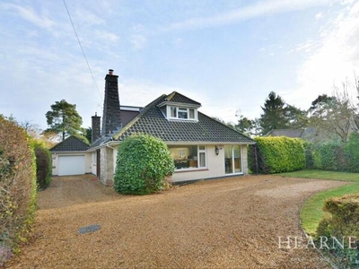 5 Bedroom Bungalow Ferndown Dorset