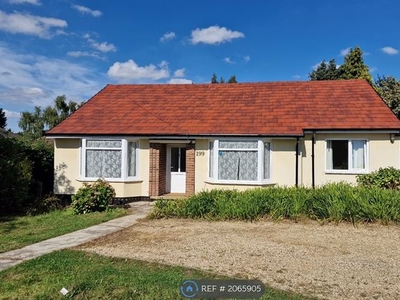 Bungalow to rent in Bridge End Road, Grantham NG31