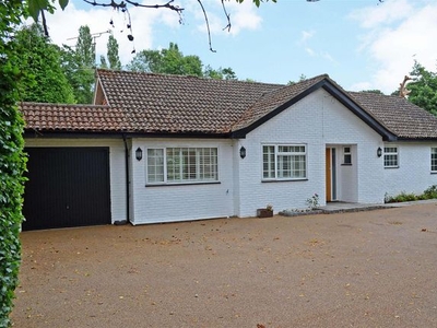 Bungalow to rent in Ockham Road South, East Horsley, Leatherhead KT24